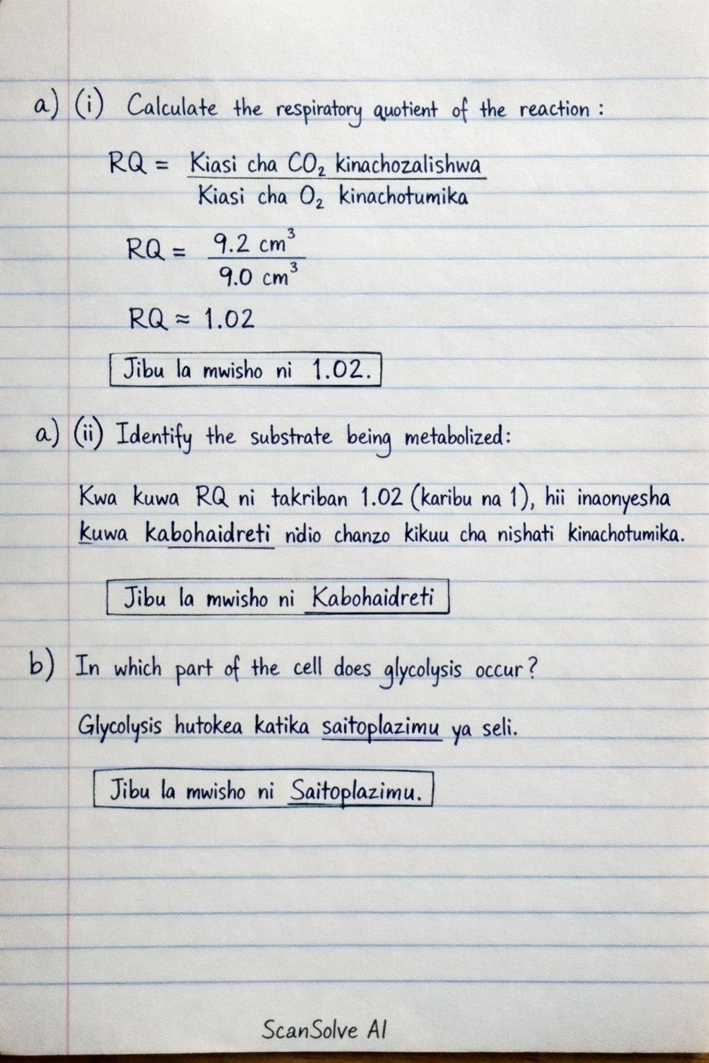 Handwritten step-by-step solution preview