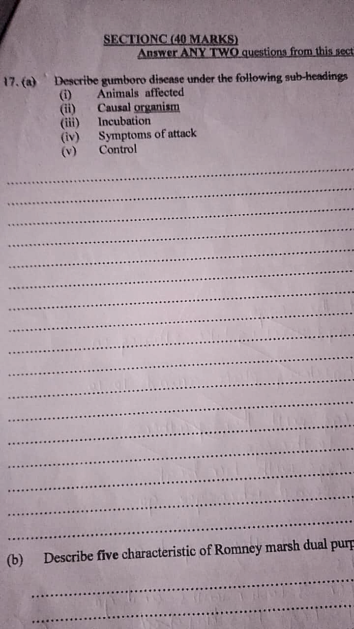 Homework photo