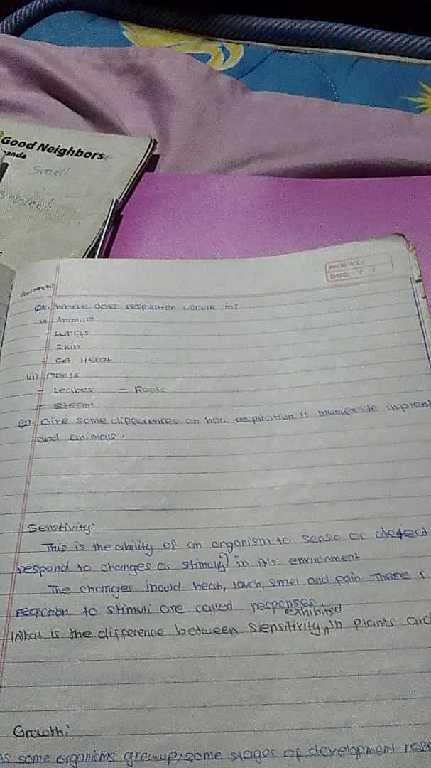 Homework photo