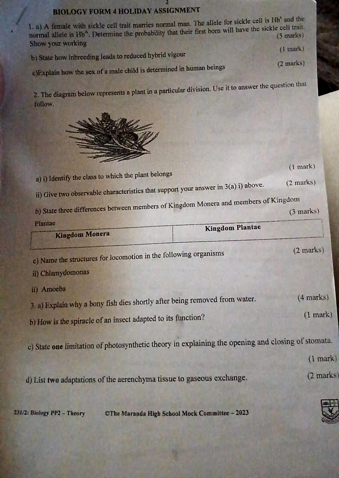 Homework photo