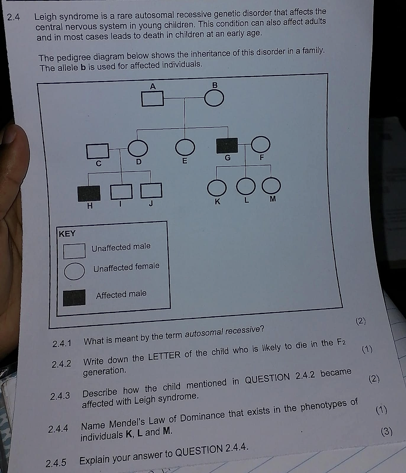 Homework photo