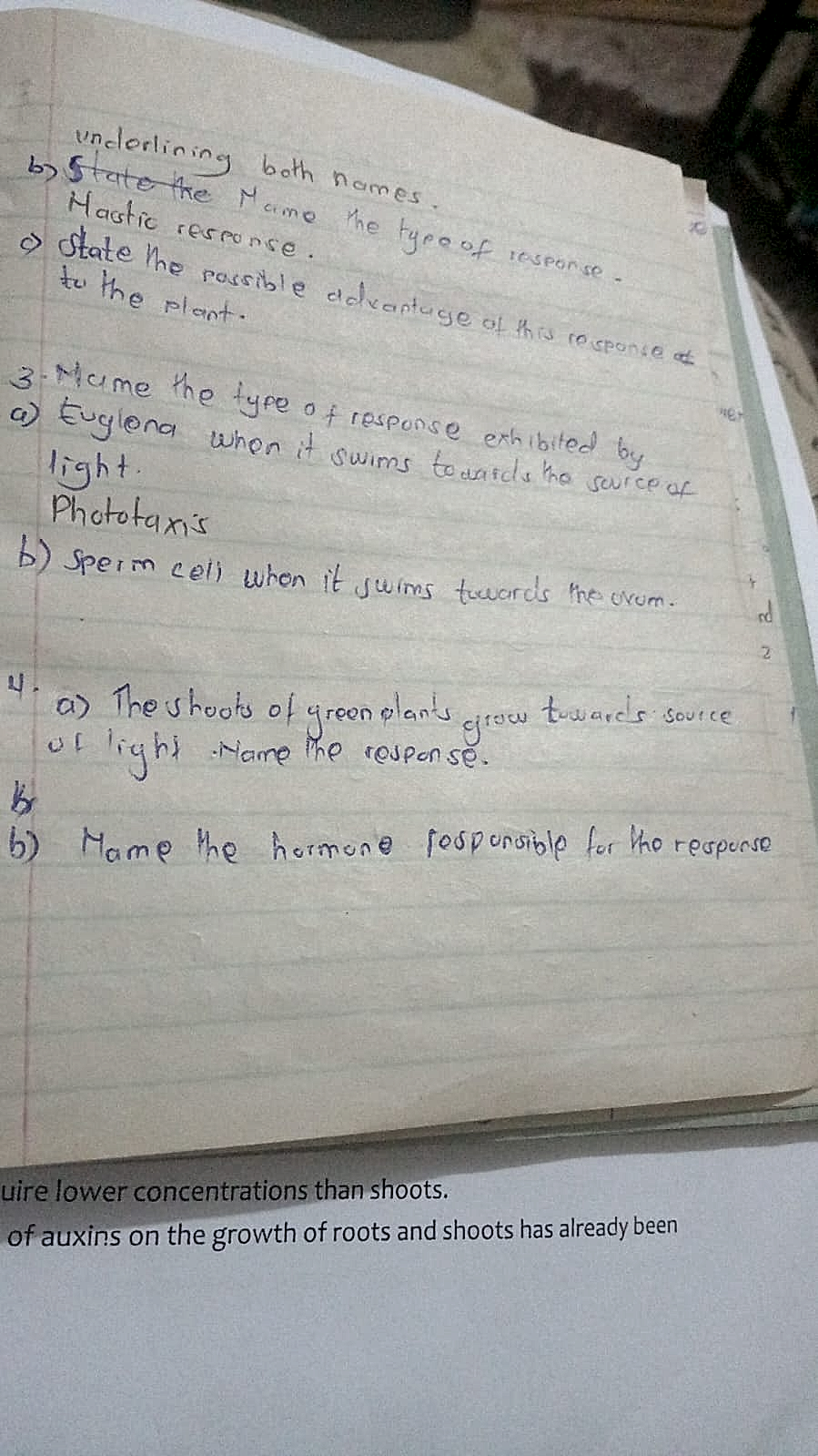 Homework photo