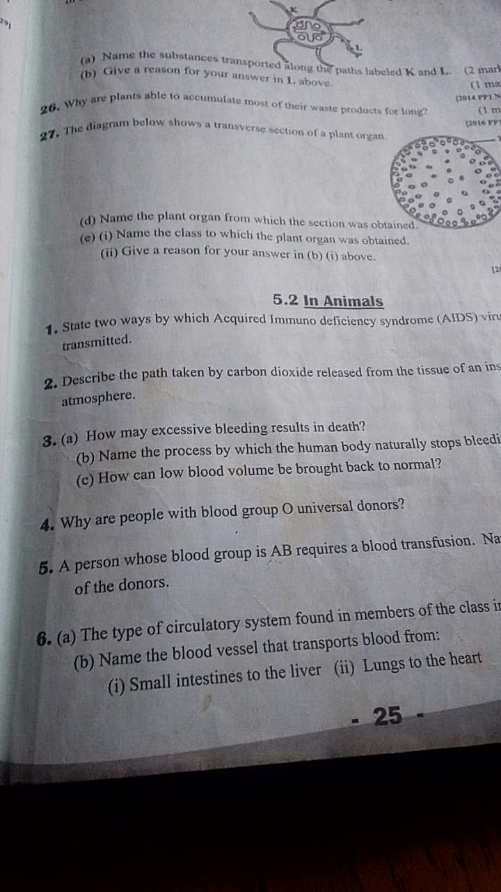 Homework photo