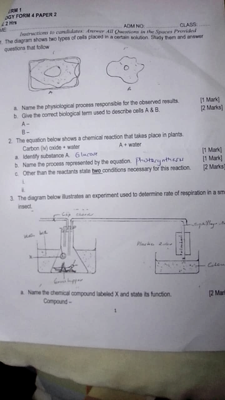 Homework photo