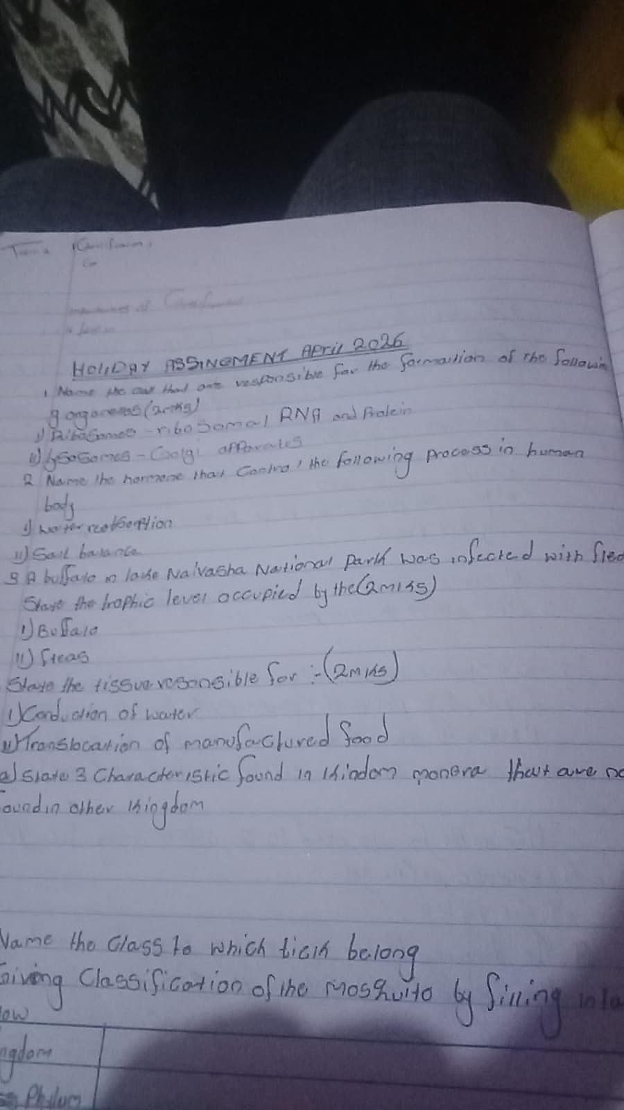 Homework photo