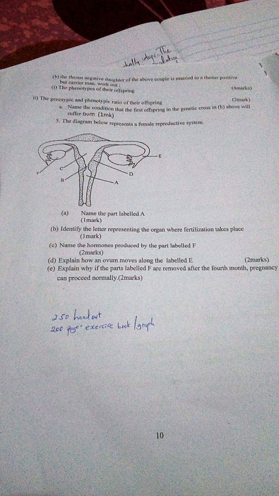 Homework photo