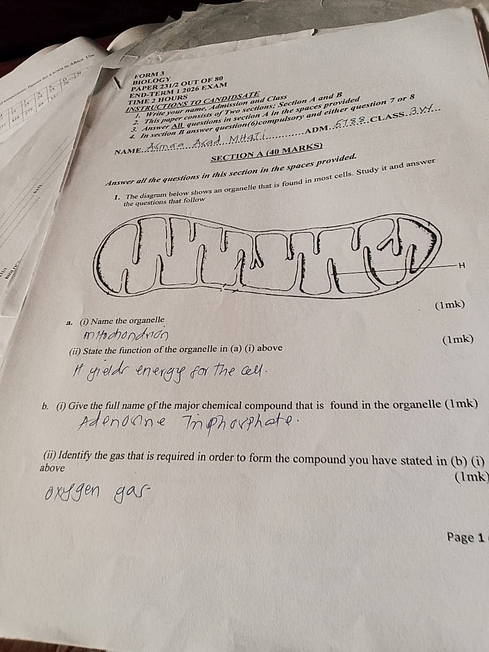 Homework photo