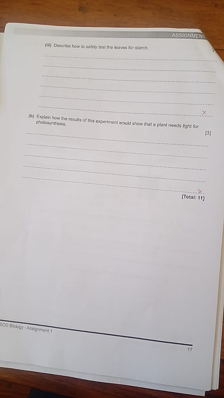 Homework photo