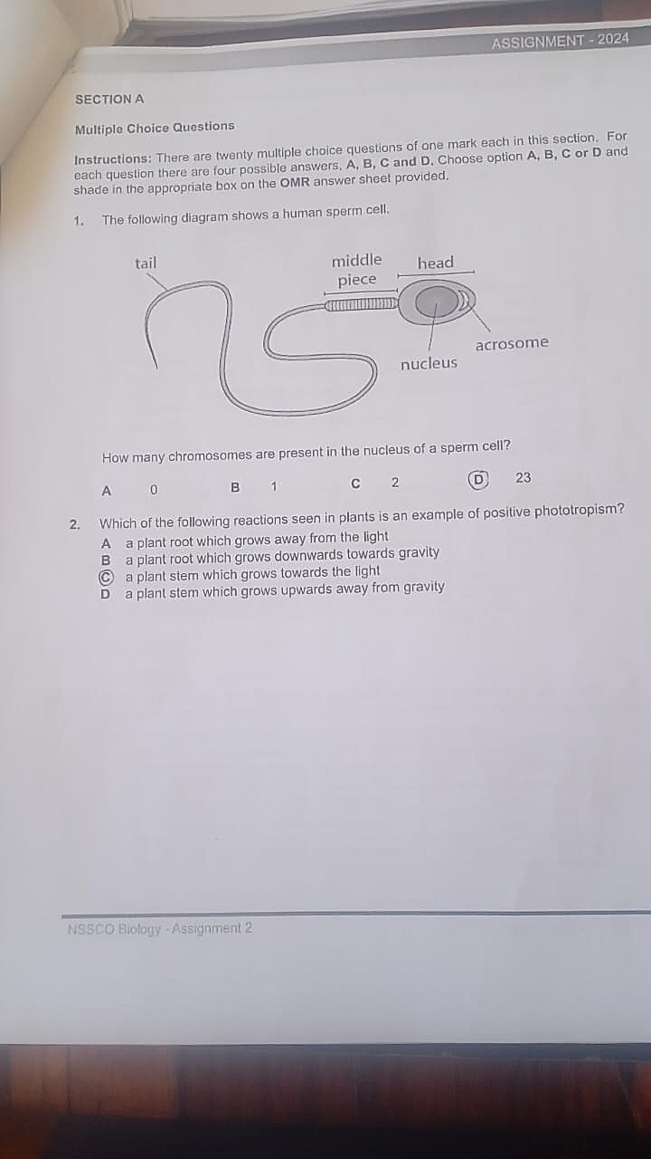 Homework photo