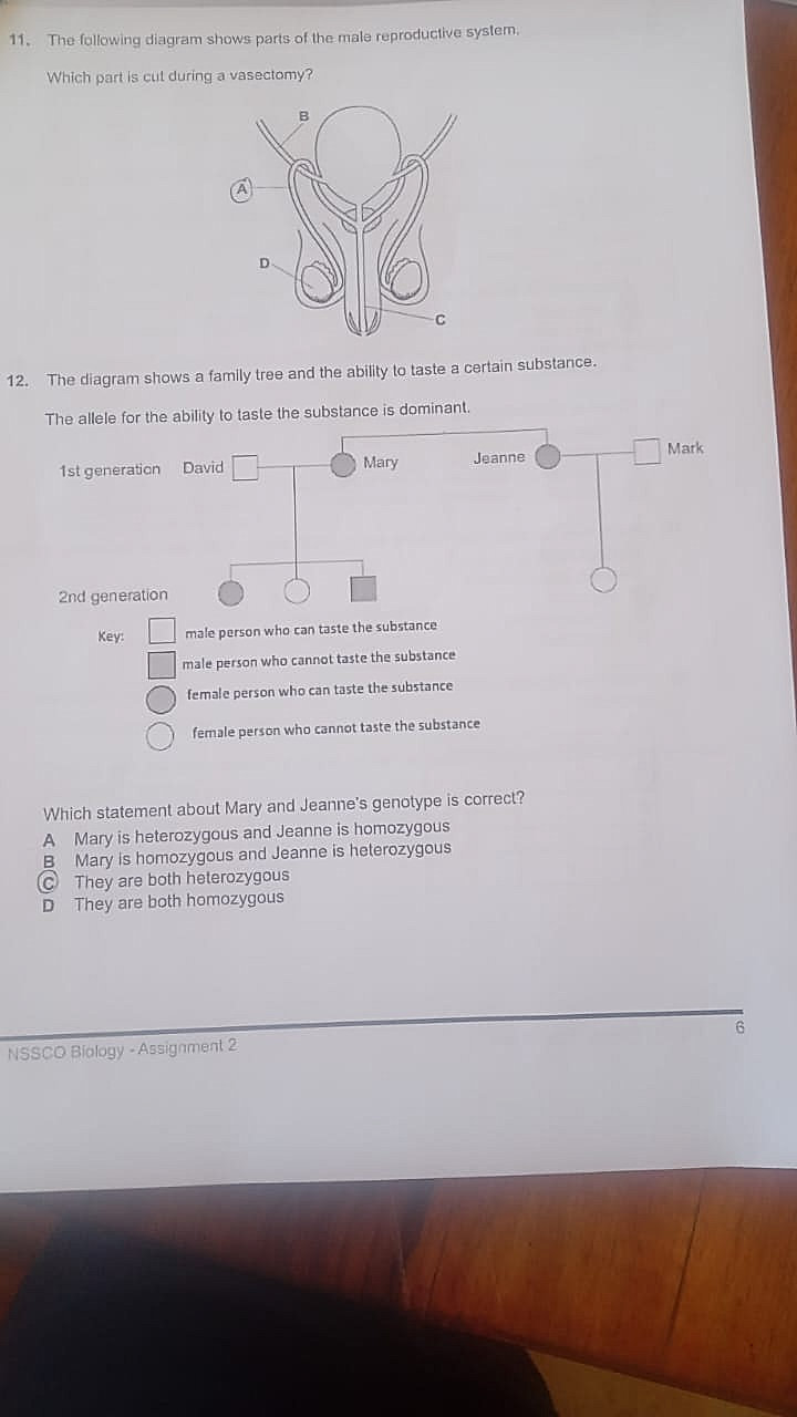 Homework photo