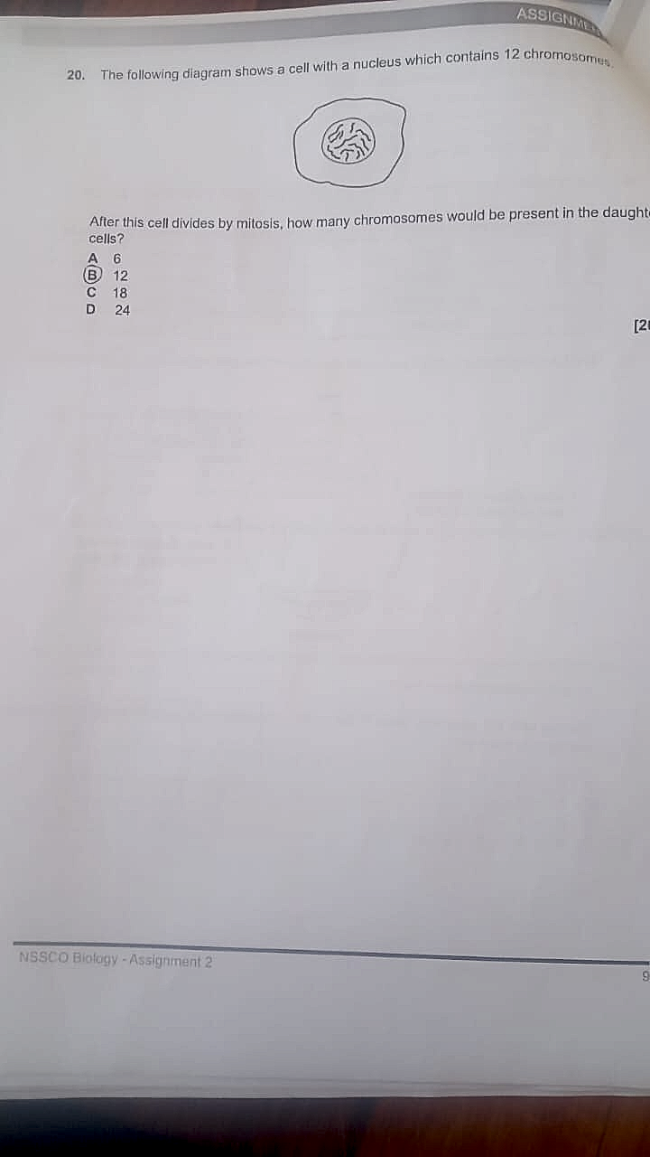 Homework photo
