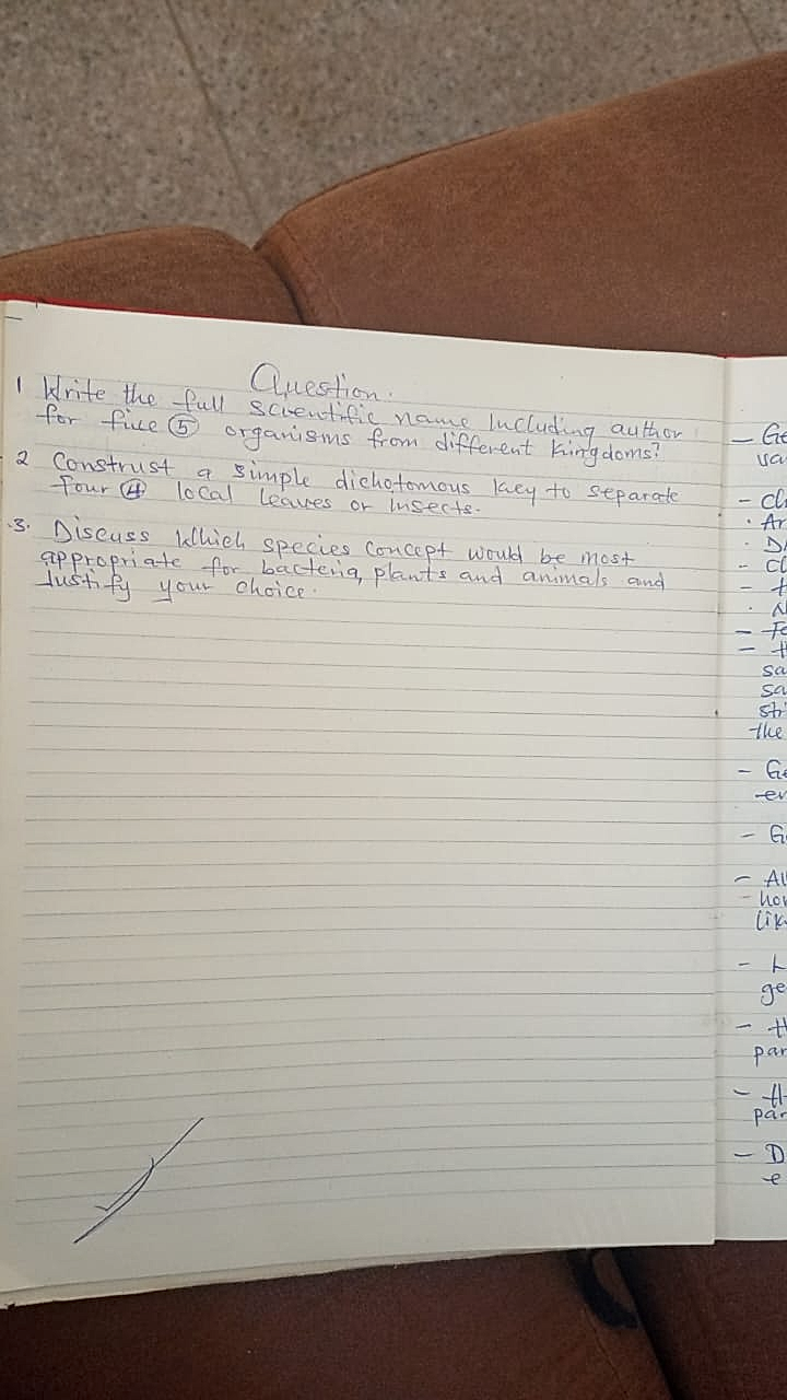 Homework photo