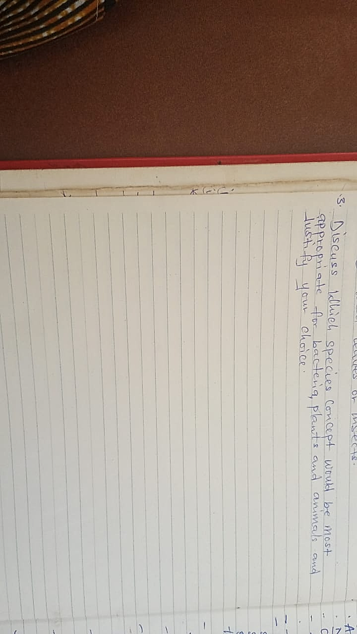 Homework photo