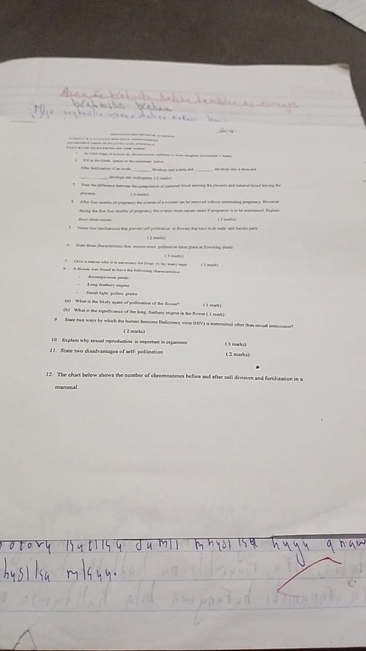 Homework photo