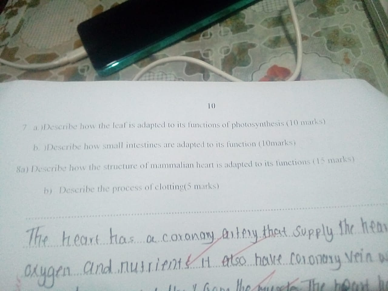 Homework photo