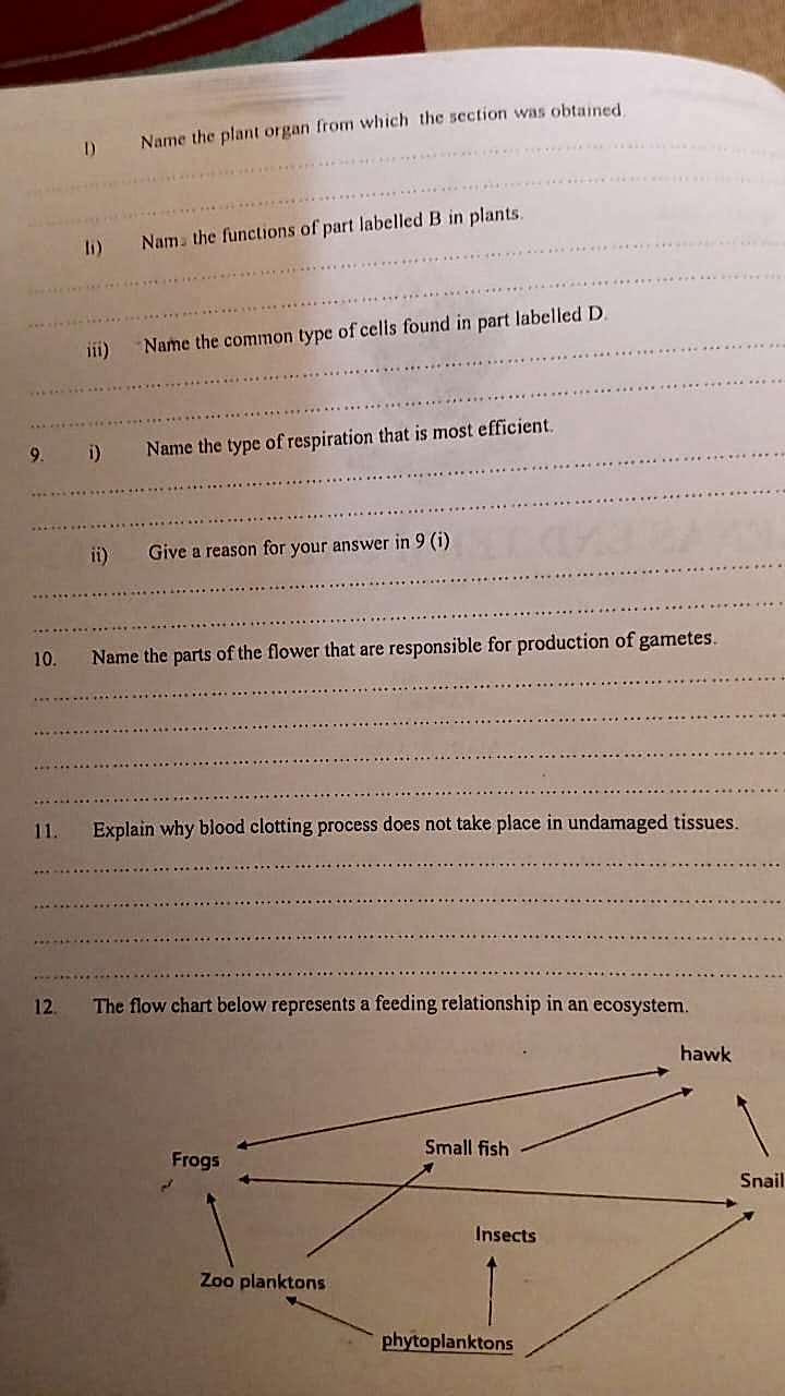 Homework photo