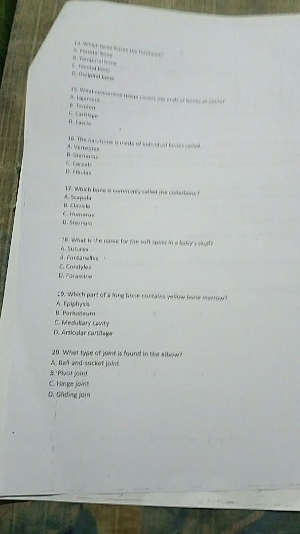 Homework photo
