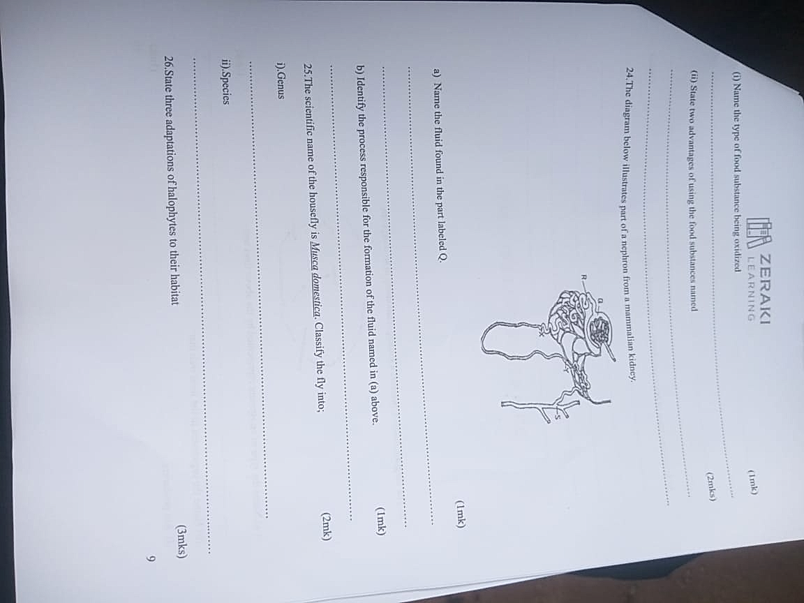 Homework photo