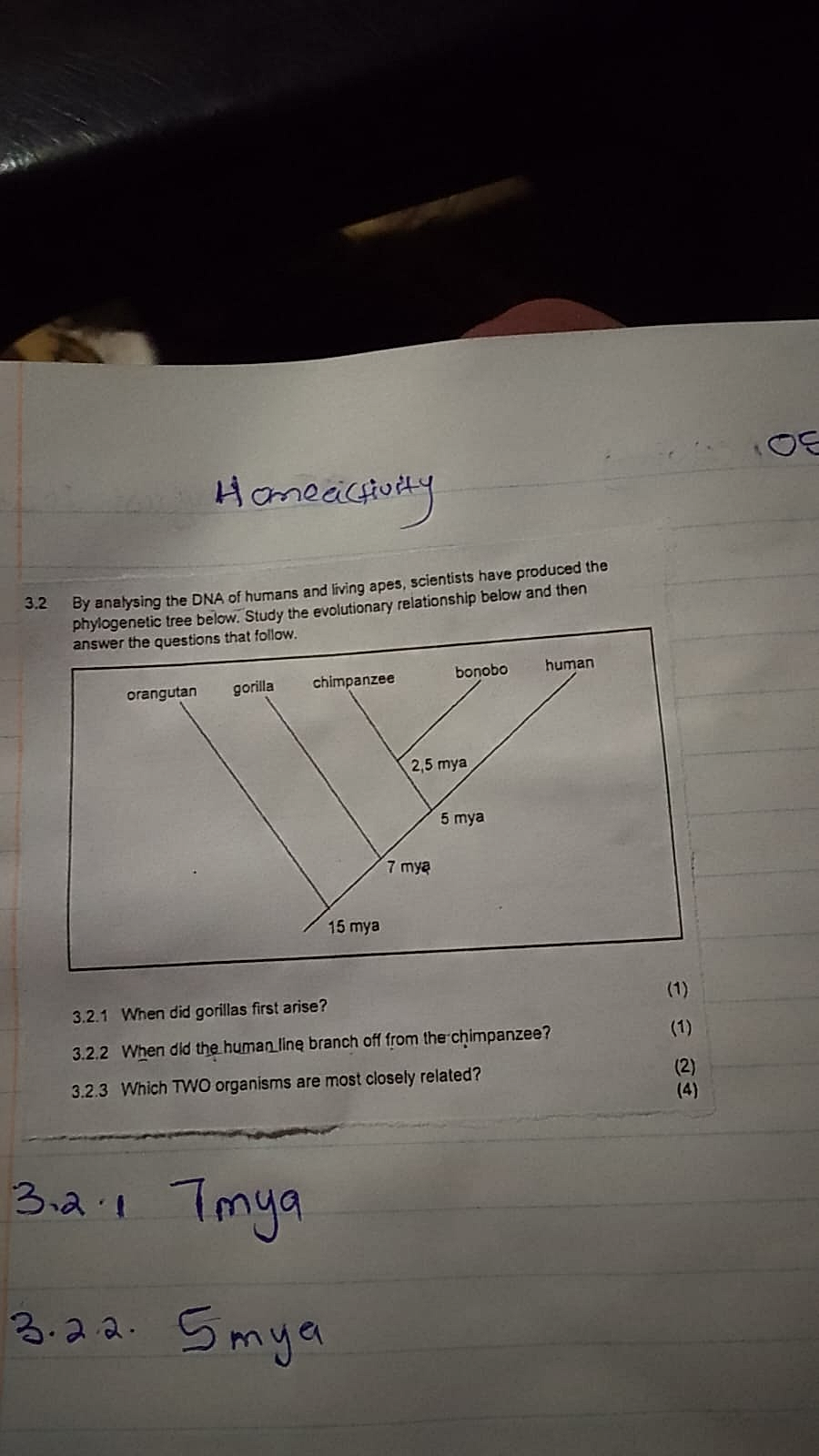 Homework photo