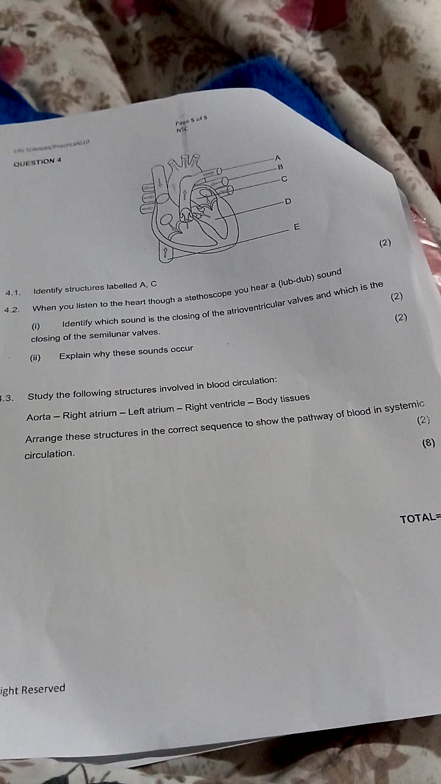 Homework photo