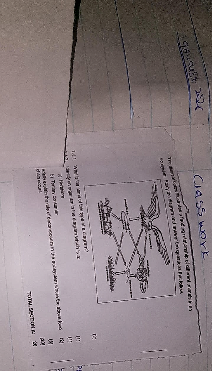 Homework photo