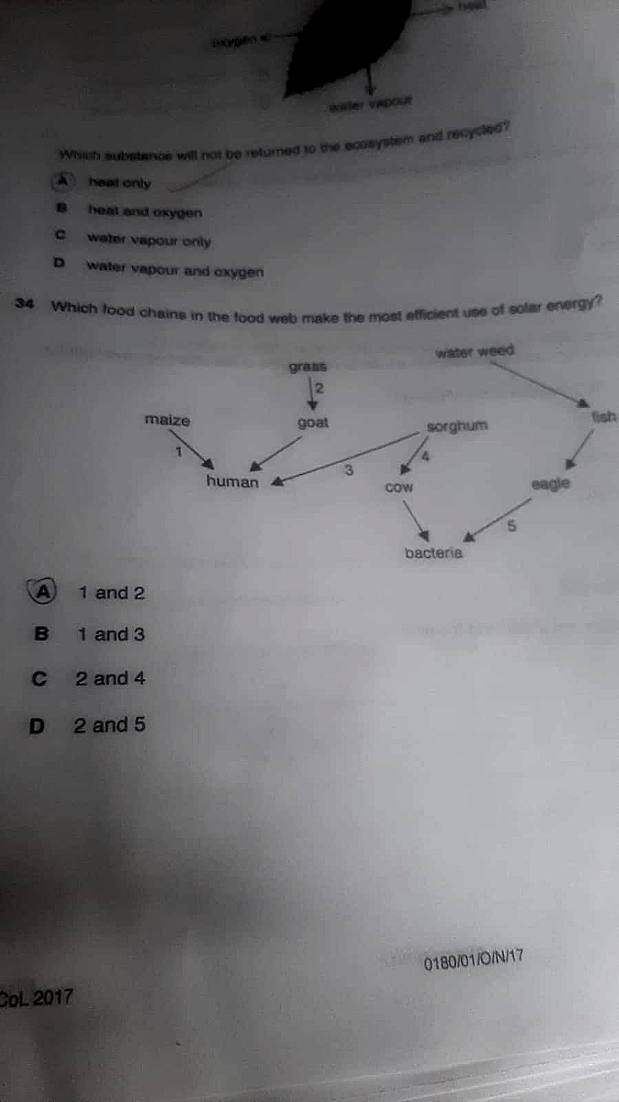 Homework photo