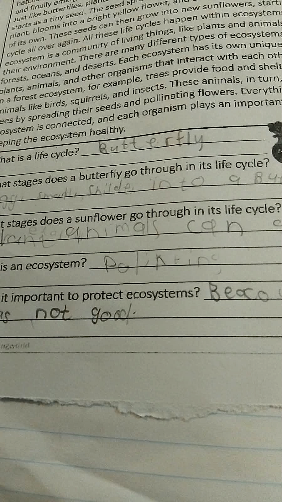 Homework photo