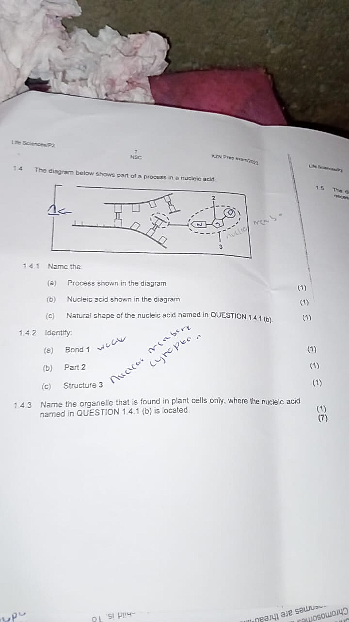 Homework photo