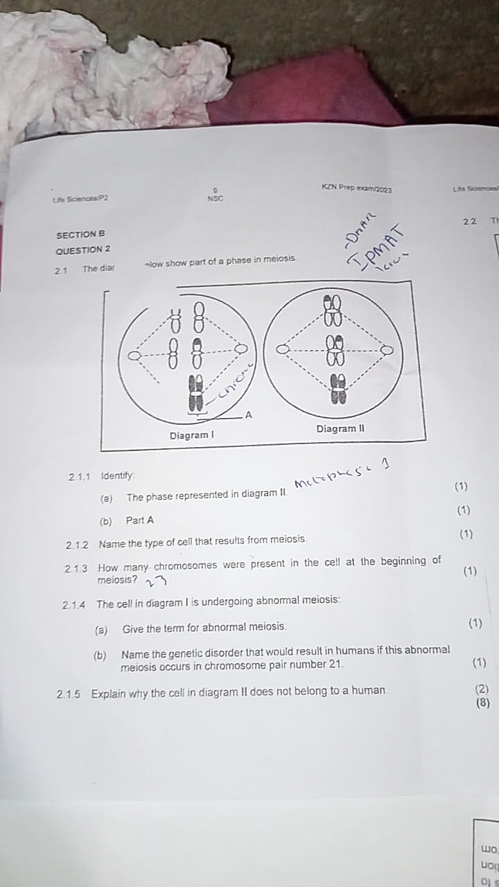 Homework photo