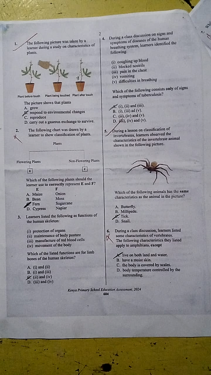 Homework photo
